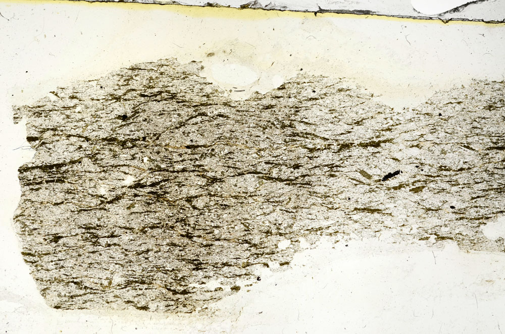 Plane Polarized, S89983