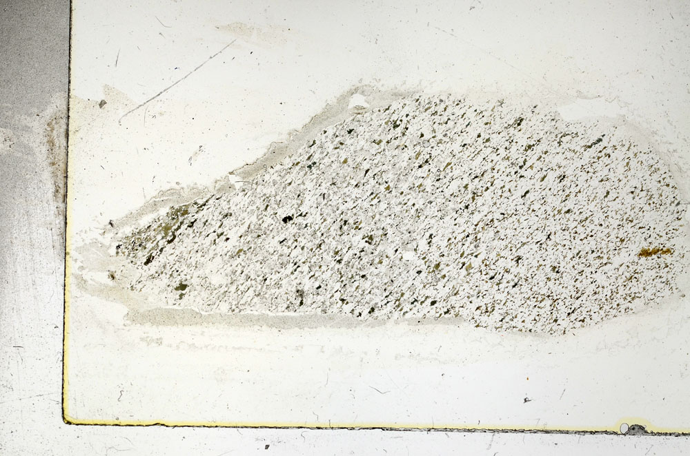 Plane Polarized, S89989