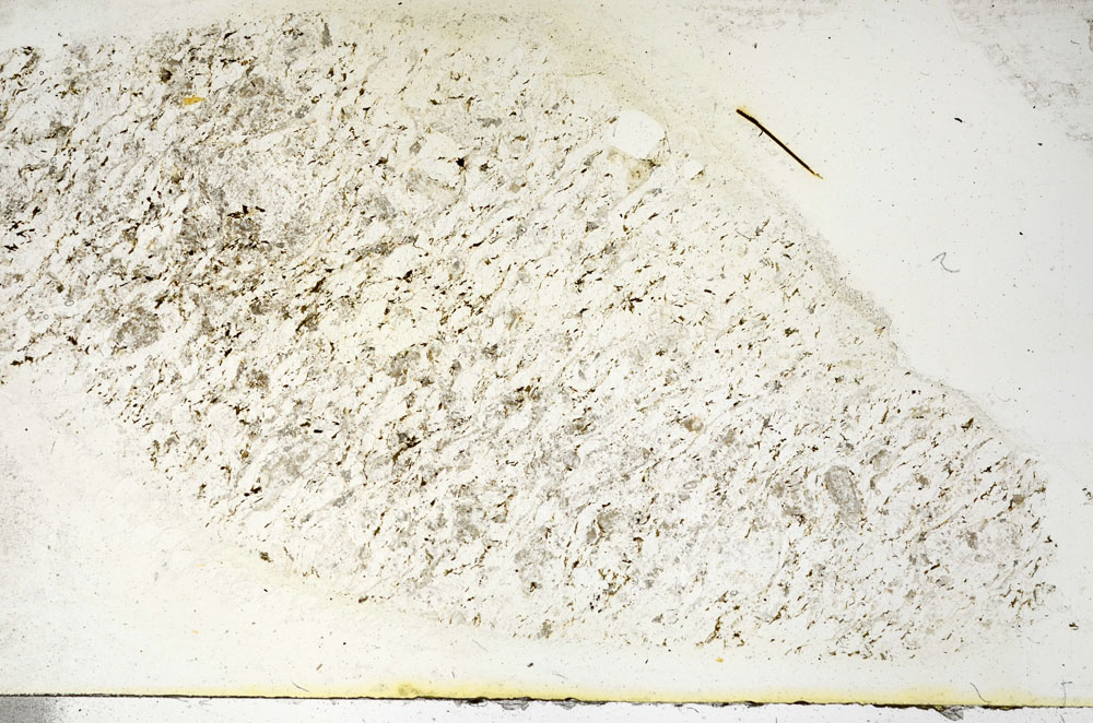 Plane Polarized, S89992