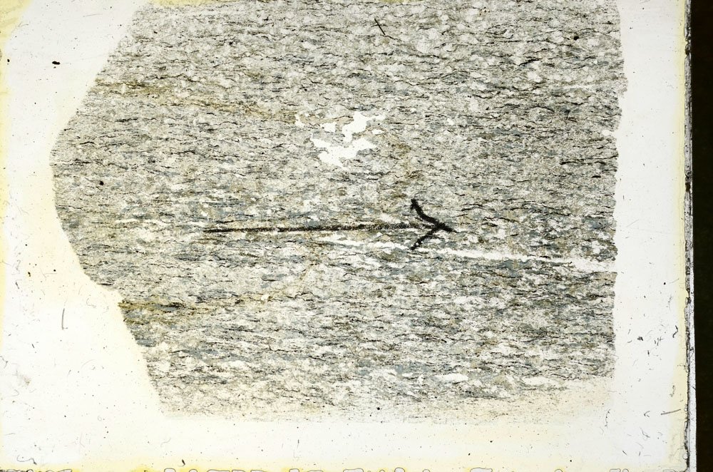 Plane Polarized, S90034