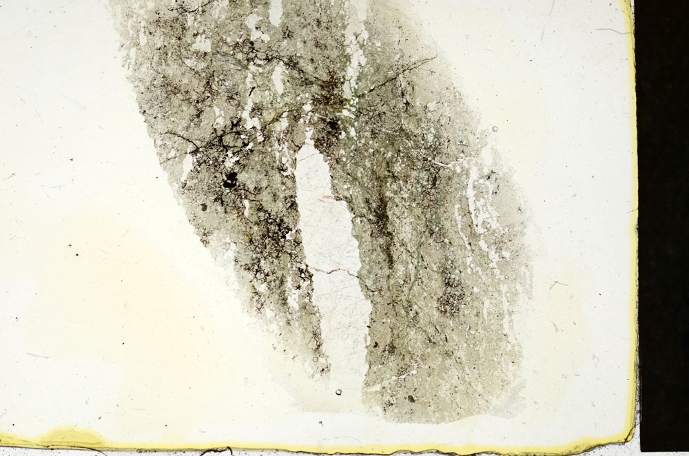 Plane Polarized, S90106