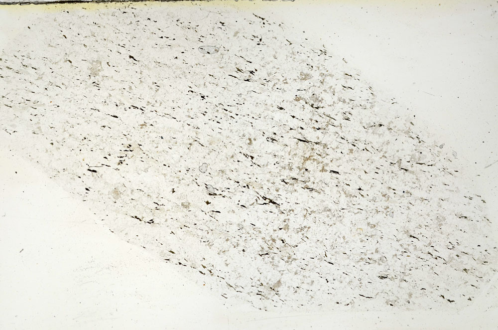 Plane Polarized, S90107