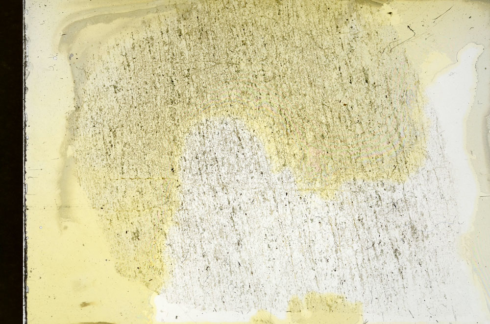 Plane Polarized, S90123