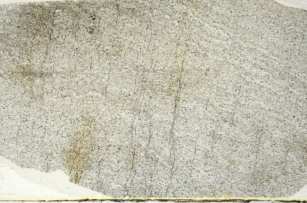 Plane Polarized, S90131