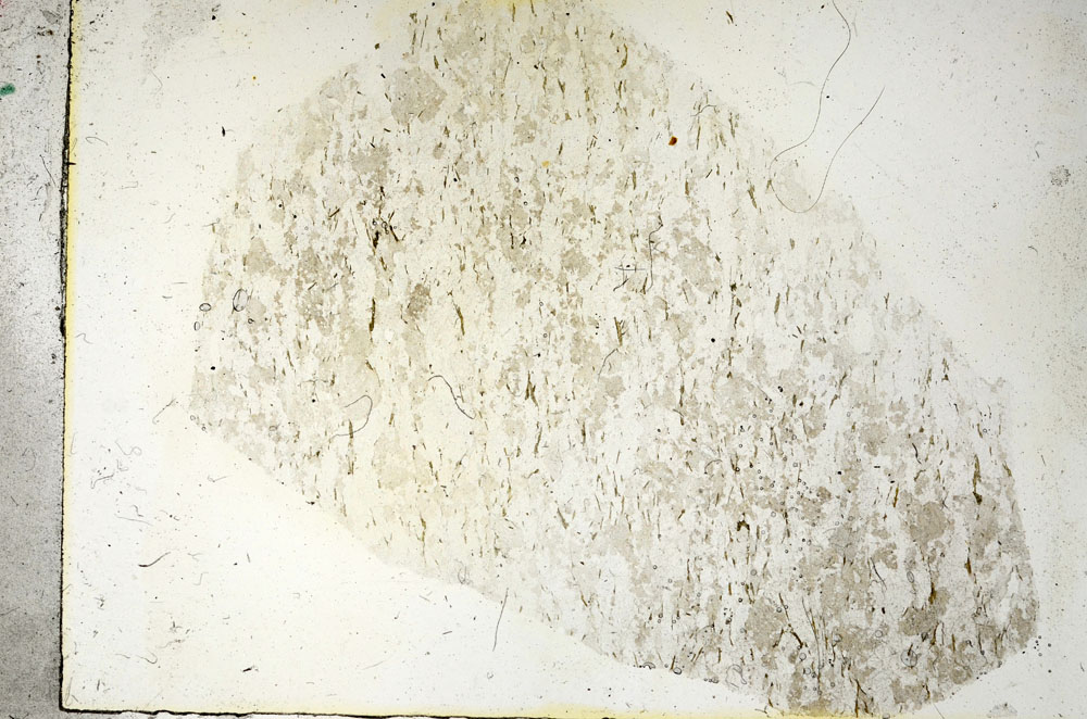 Plane Polarized, S90136