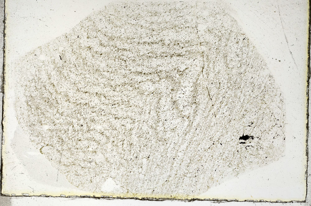 Plane Polarized, S90137