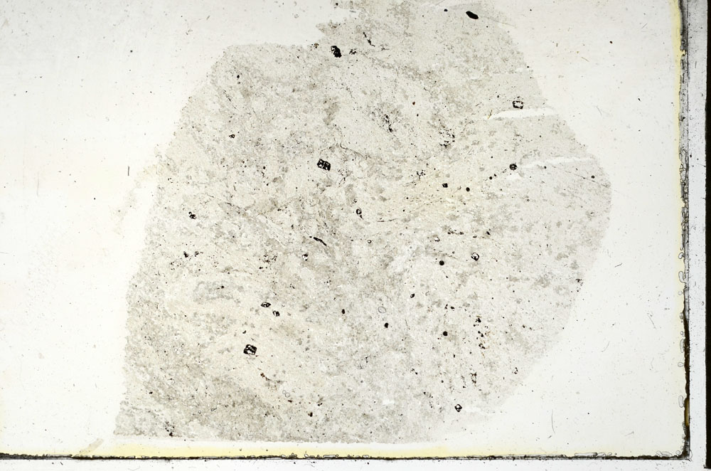 Plane Polarized, S90145
