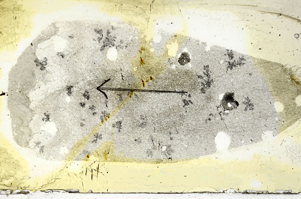 Plane Polarized, S90150