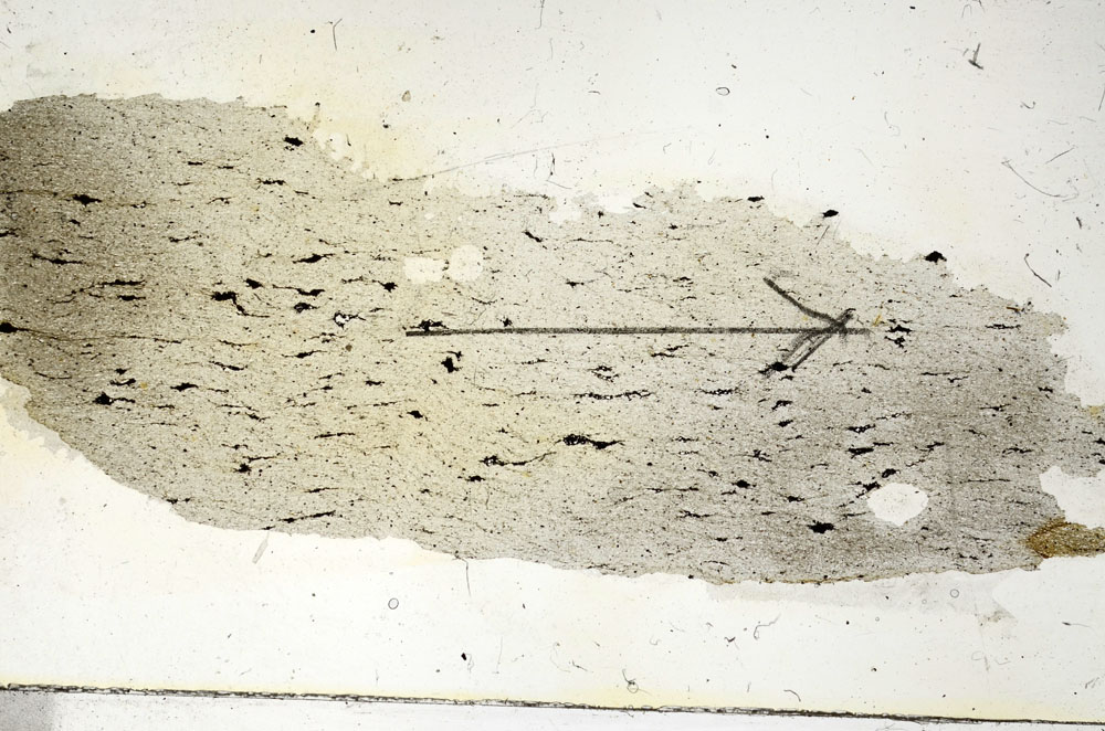 Plane Polarized, S90158
