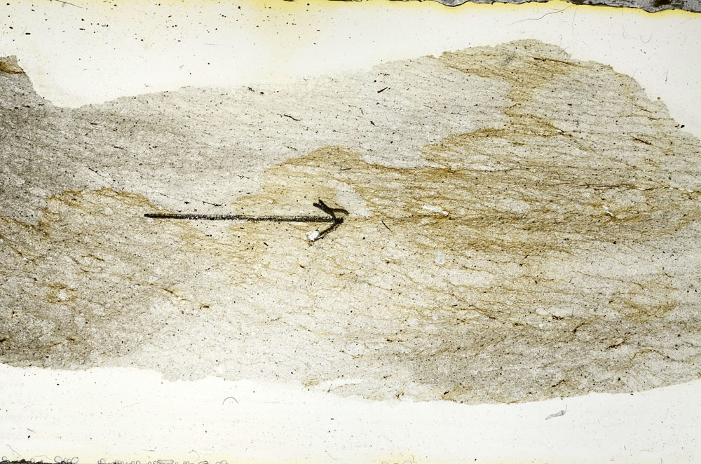 Plane Polarized, S90159