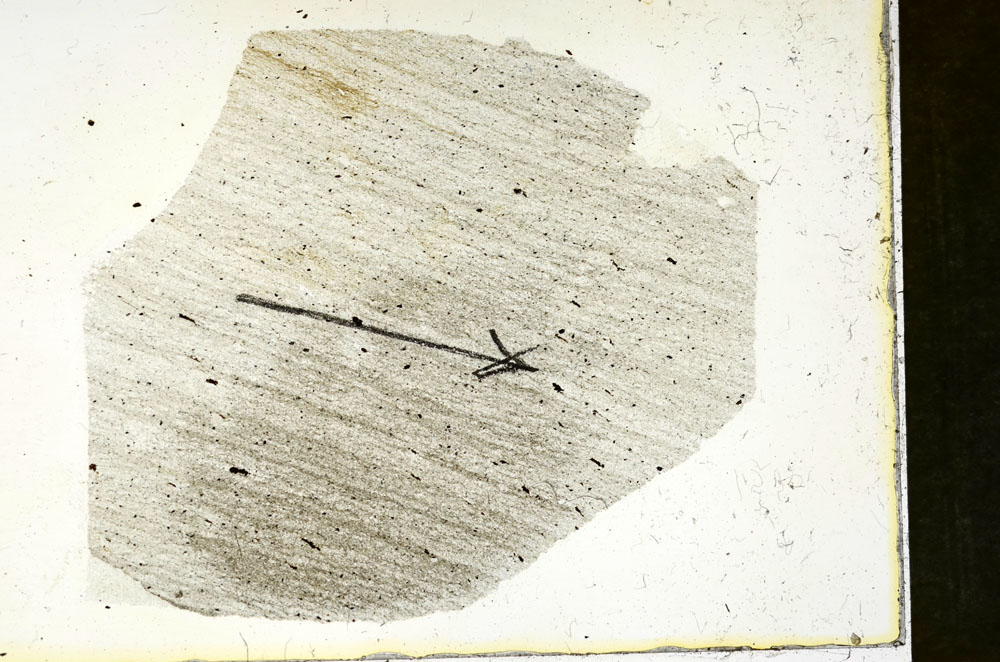 Plane Polarized, S90160