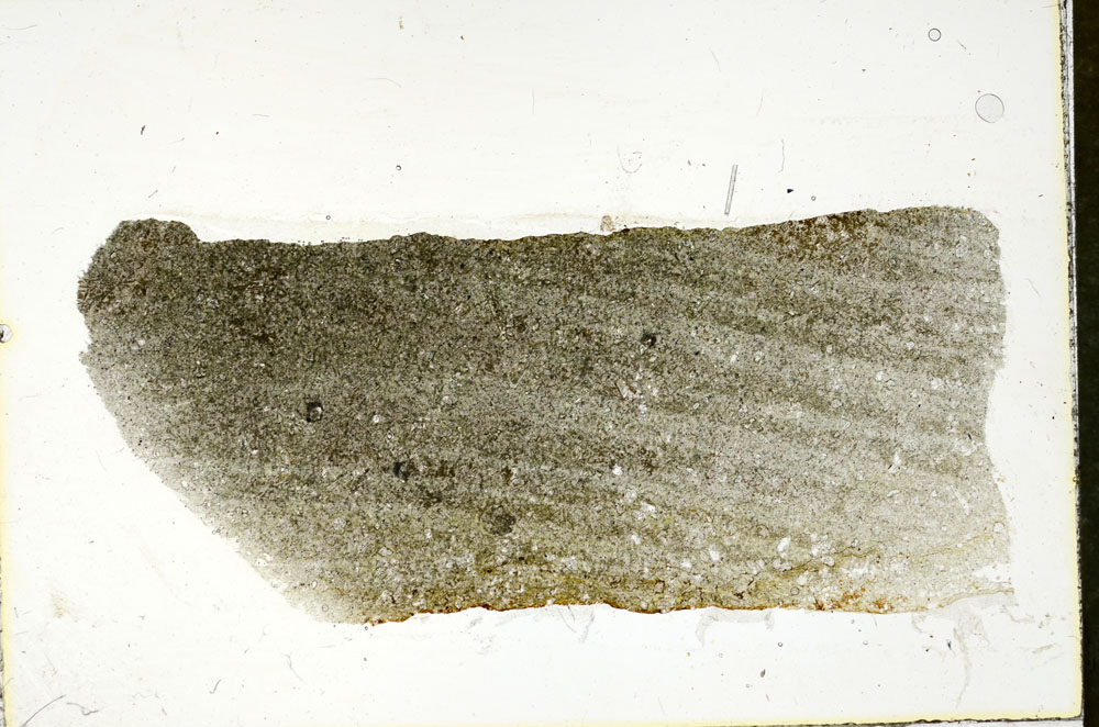 Plane Polarized, S90164