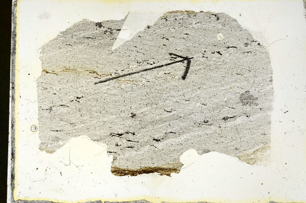 Plane Polarized, S90165
