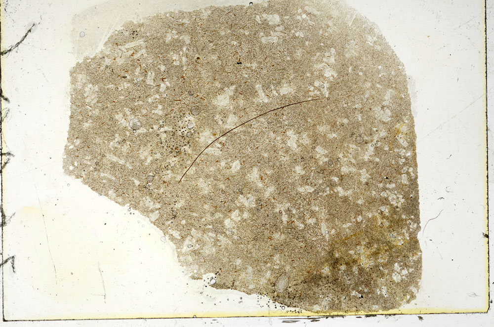 Plane Polarized, S90169