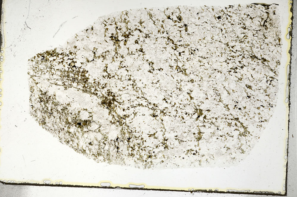 Plane Polarized, S90224