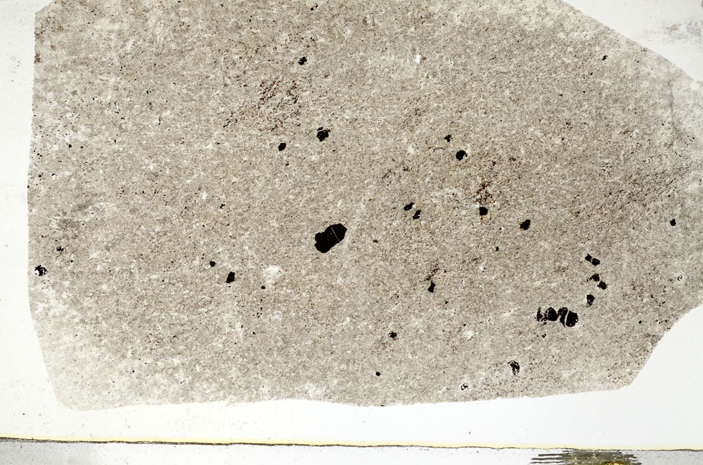 Plane Polarized, S90227