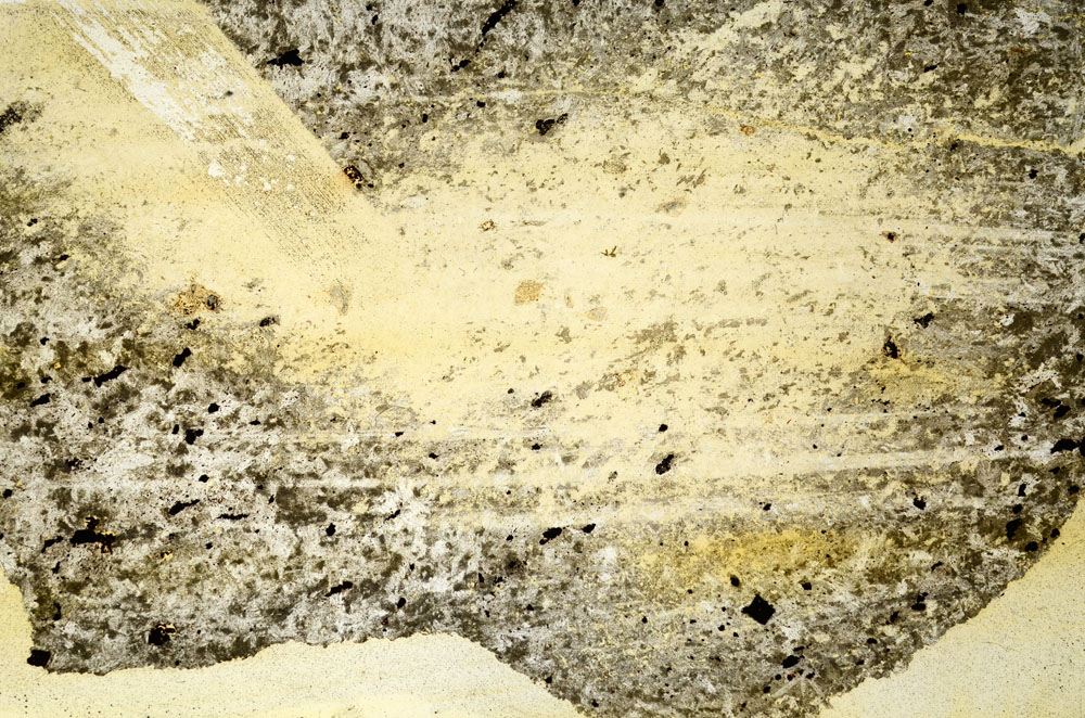 Plane Polarized, S90241
