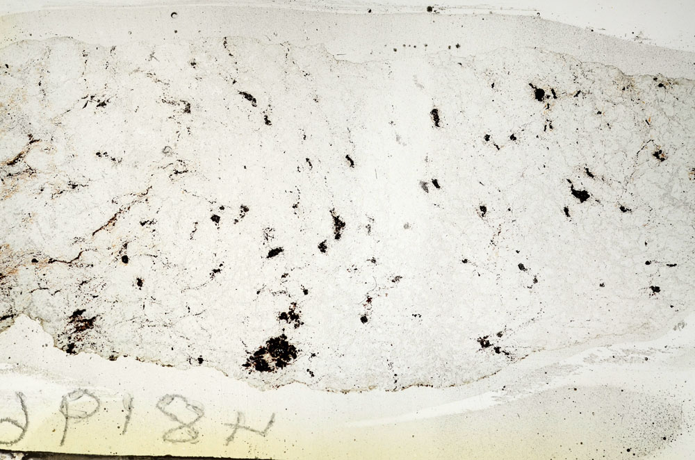 Plane Polarized, S90246