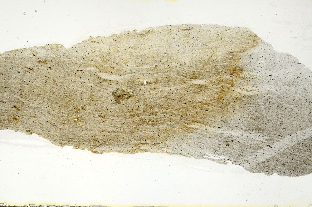 Plane Polarized, S90282