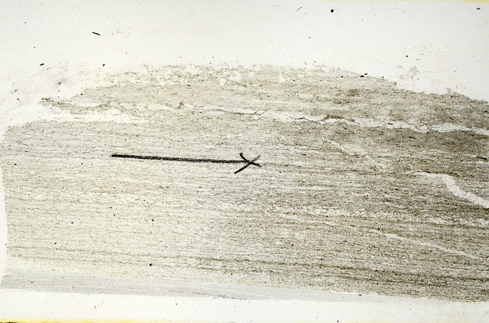 Plane Polarized, S90285