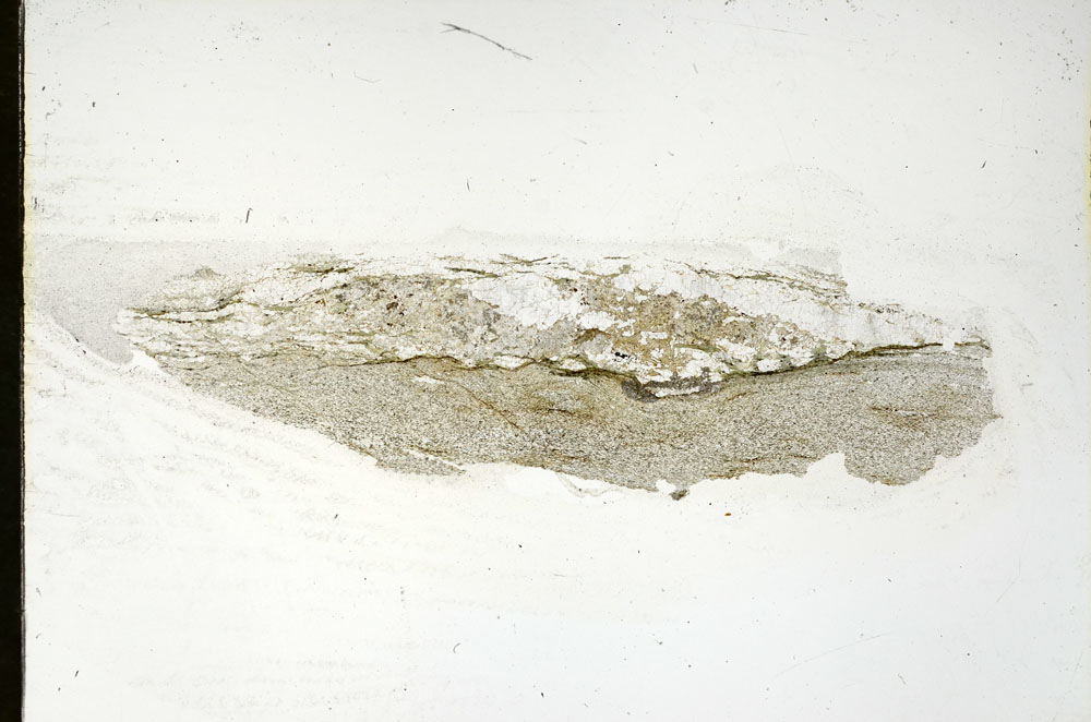 Plane Polarized, S90294