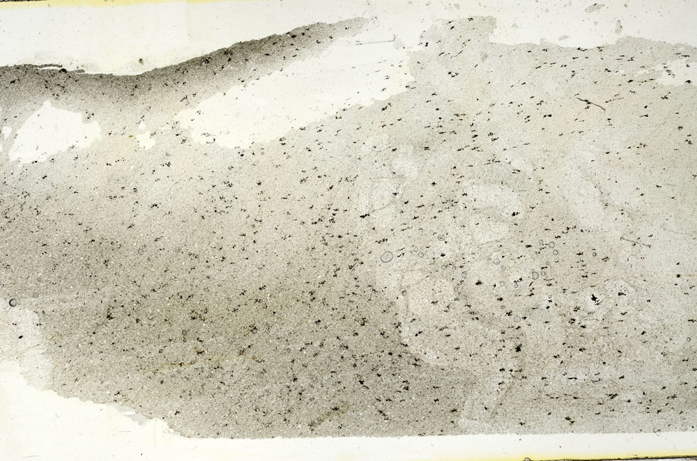 Plane Polarized, S90322