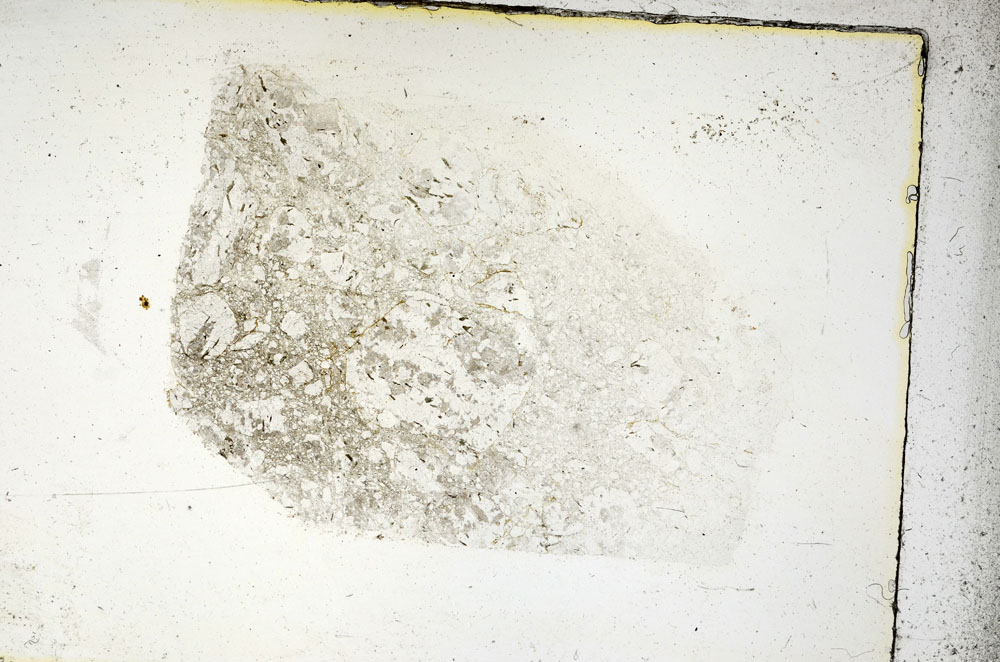Plane Polarized, S90325