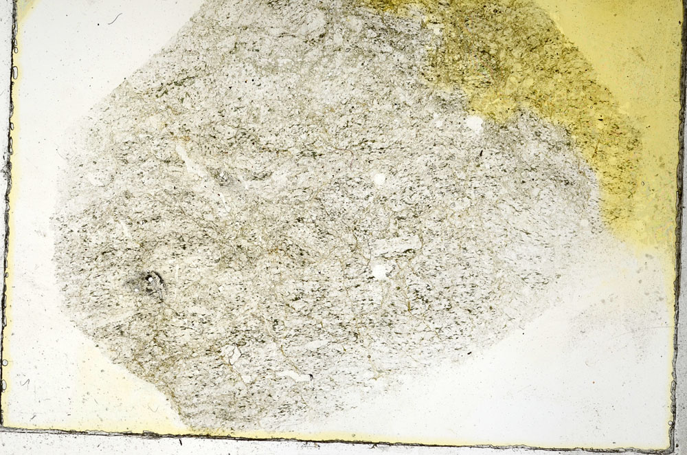 Plane Polarized, S90327