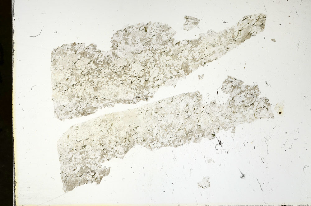 Plane Polarized, S90335