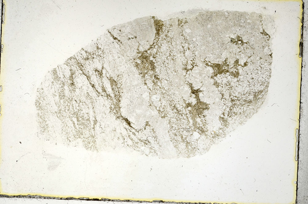 Plane Polarized, S90336
