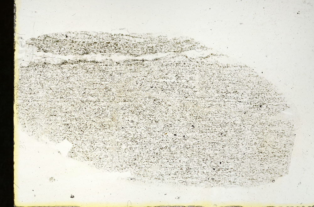 Plane Polarized, S90338