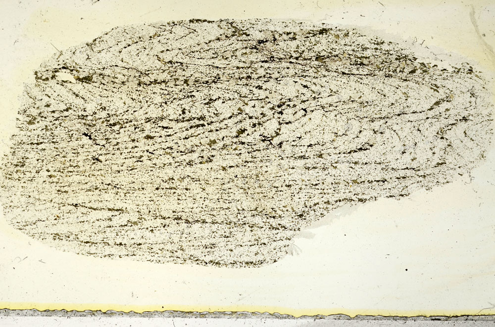 Plane Polarized, S90343