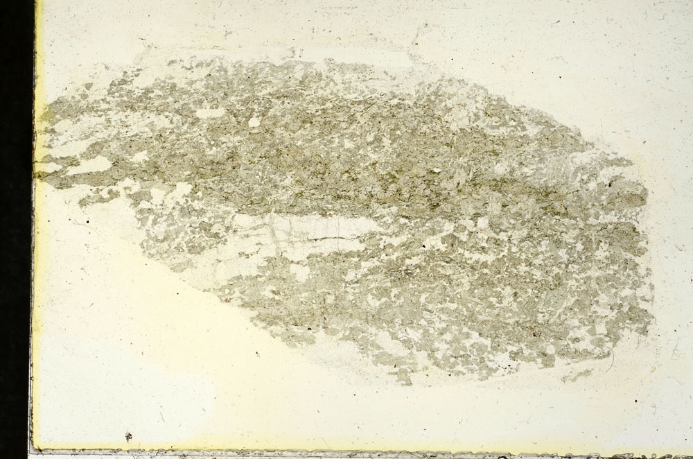 Plane Polarized, S90344