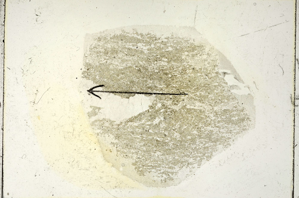 Plane Polarized, S90346