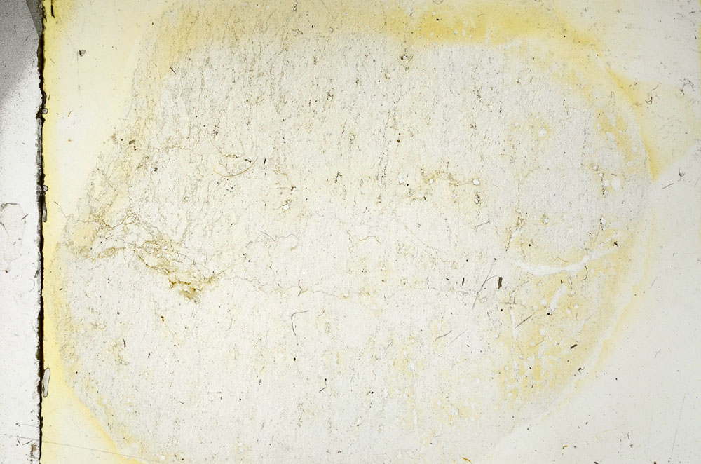 Plane Polarized, S90358