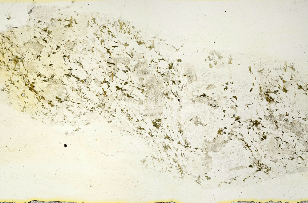 Plane Polarized, S90363