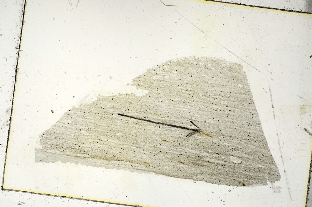 Plane Polarized, S90382