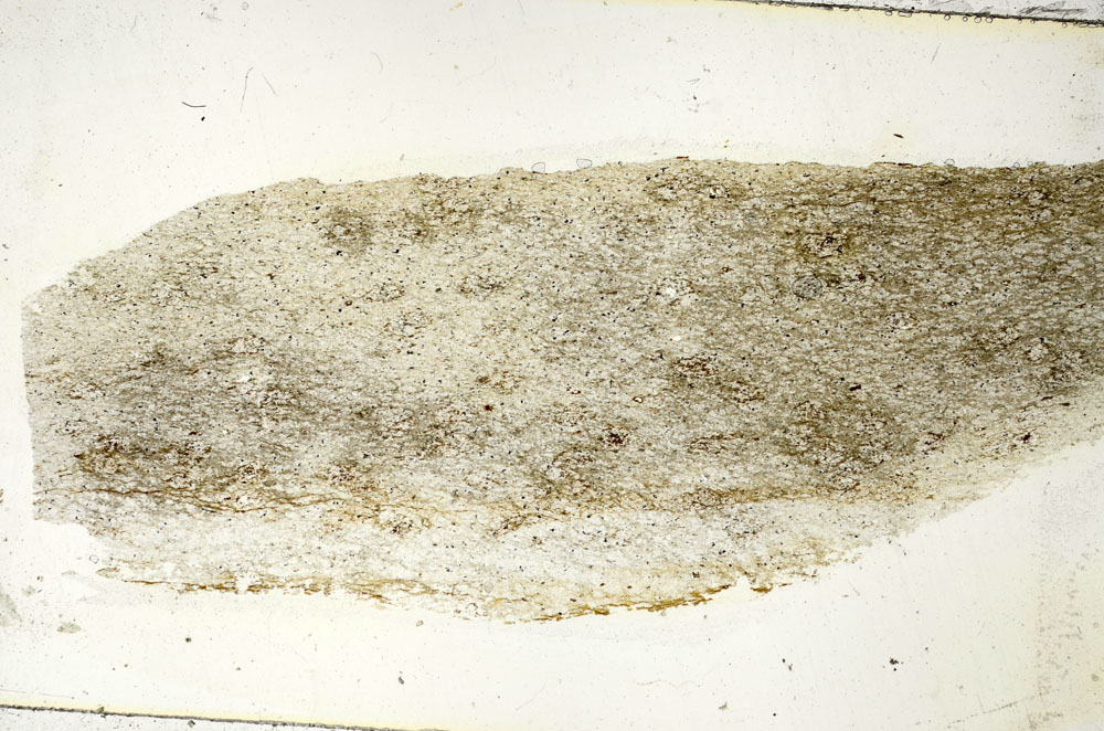 Plane Polarized, S90383