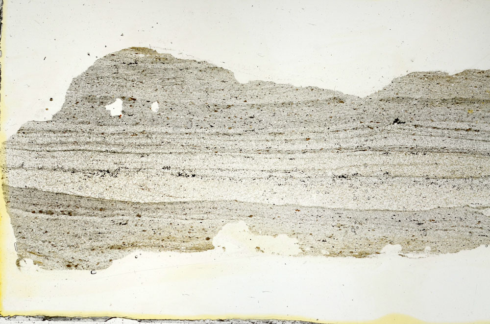 Plane Polarized, S90387