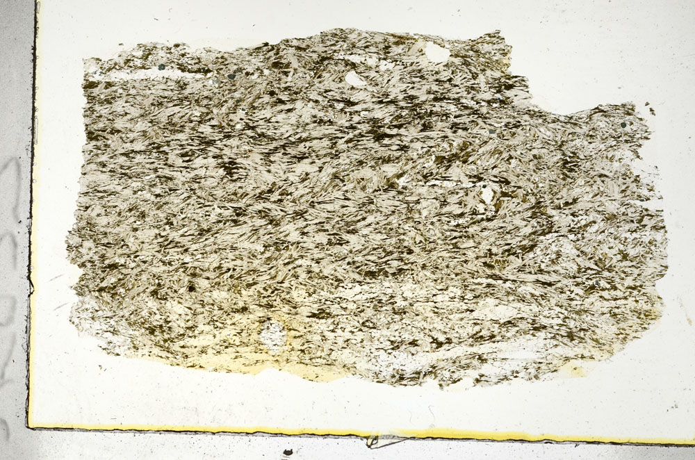 Plane Polarized, S90395