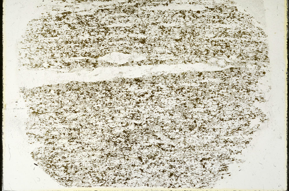 Plane Polarized, S90427