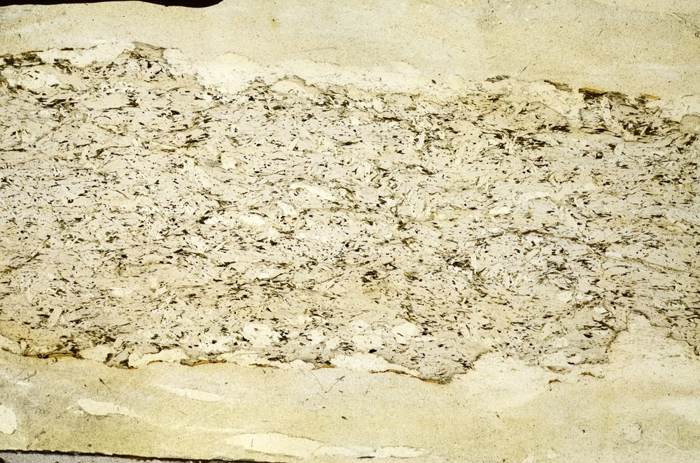 Plane Polarized, S90431