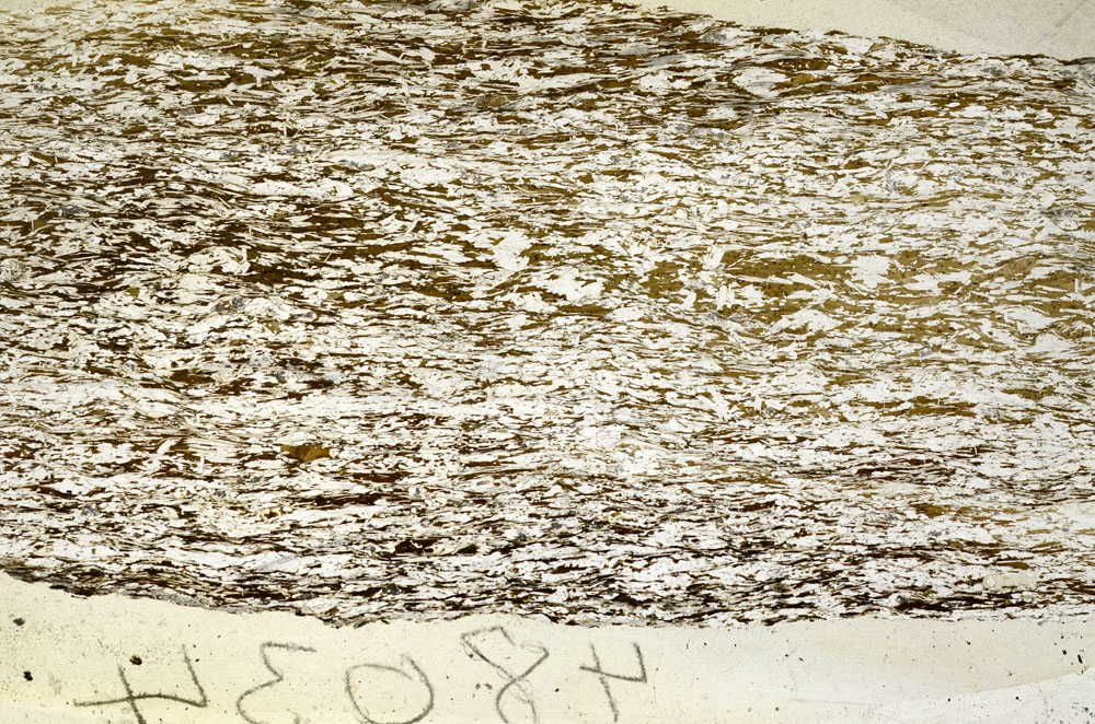 Plane Polarized, S90466