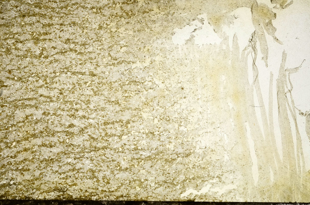 Plane Polarized, S90470