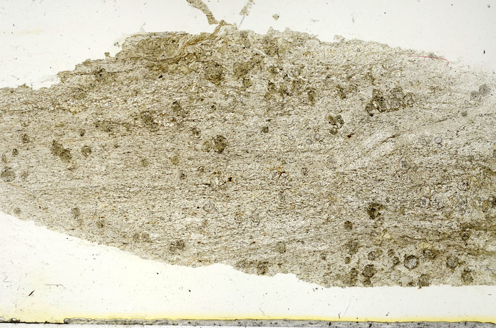 Plane Polarized, S90477