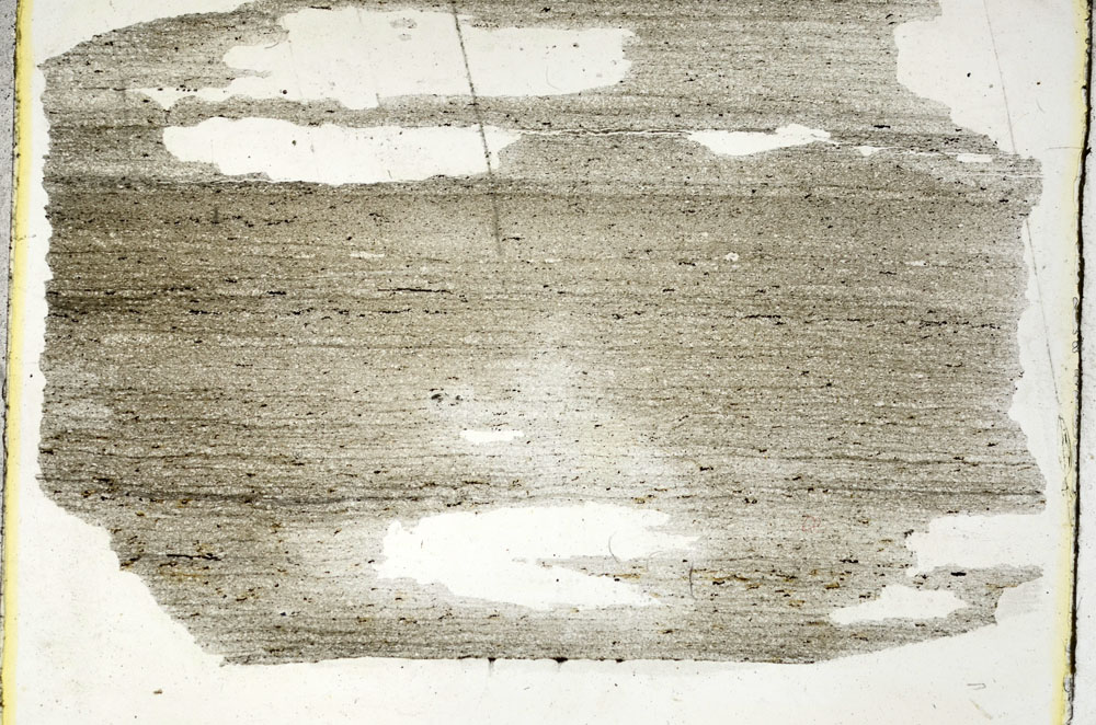 Plane Polarized, S90480