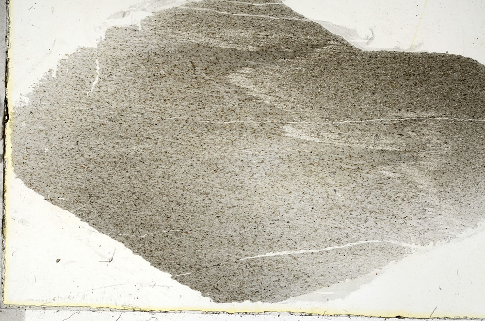 Plane Polarized, S90481