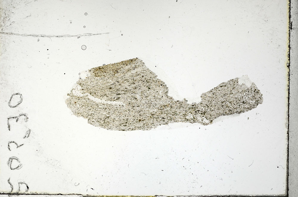 Plane Polarized, S90499