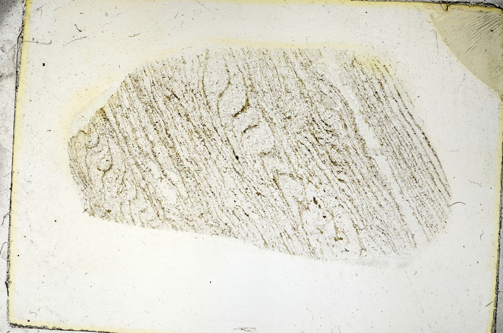 Plane Polarized, S90524