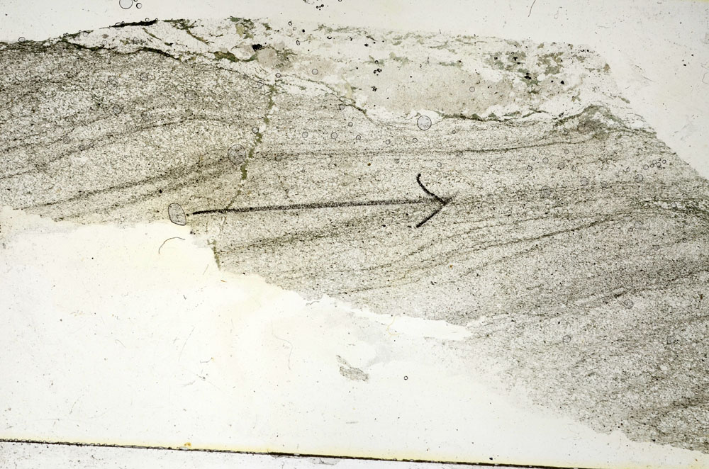 Plane Polarized, S90536